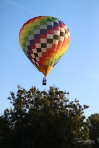 M2025-sam-m-Marg-tr-9