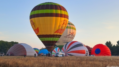 M2025-sam-m-Mario-tr-5