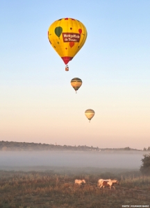 M2025-sam-m-Mario-tr-9