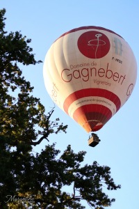 Ven-s-Margot-10