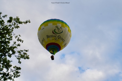 MB26-Sam-s-tous-75