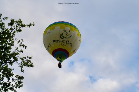 MB26-Sam-s-tous-75