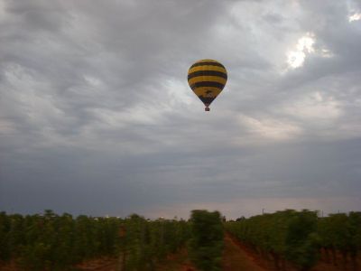 2009-08-24-montgolfieres16