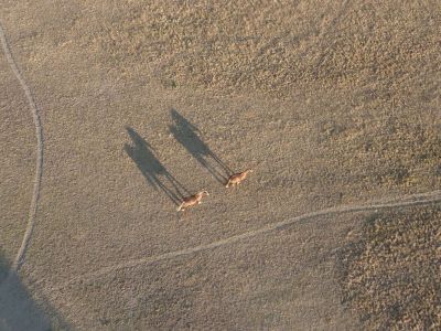 Bapteme-montgolfiere-2-jullet-2011-281